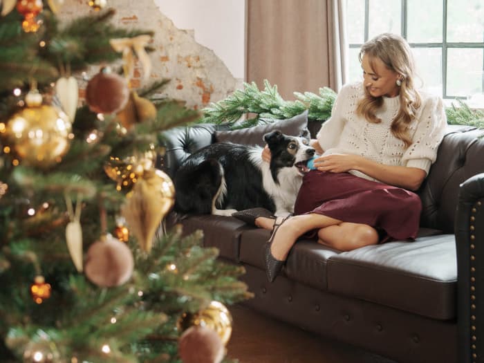 Une maman est assise sur le canapé avec un border collie, à côté du sapin artificiel FairyTrees FT14 décoré de boules dorées