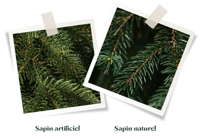 Comparaison de branches de sapin : à gauche, les aiguilles du sapin de Noël artificiel FairyTrees FT33 sapin des Alpes, à droite, les branches d’un vrai sapin de forêt.