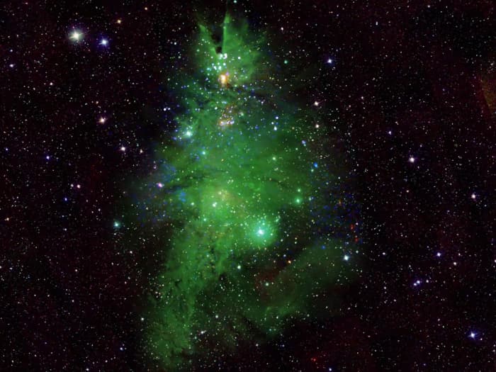 L'amas NGC 2264, surnommé « Christmas Tree Cluster », photographié par des télescopes collaborant avec la NASA.