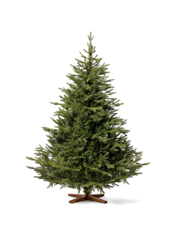Sapin de Noël artificiel FairyTrees FT06-180 – sapin Nordmann de 180 cm avec branches 100 % en polyéthylène moulées par injection et pied en bois de frêne.