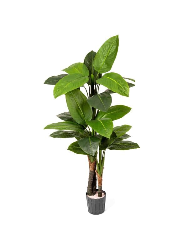 FairyTrees dieffenbachia artificiell 160 cm - 27 feuilles 0 verte - grande plante en pot