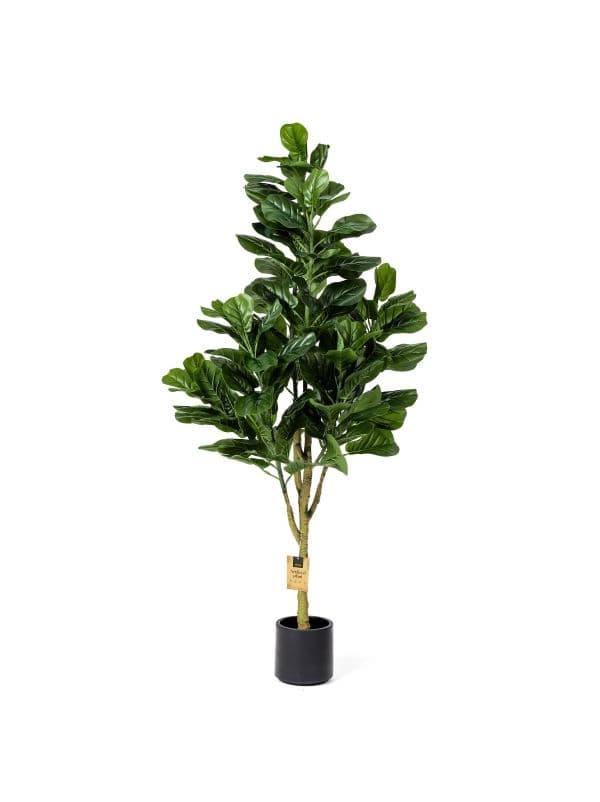 Ficus lyrata artificiel 160 cm FairyTrees &agrave; la silhouette expressive et aux feuilles vert fonc&eacute; en forme de lyre sur fond clair. 