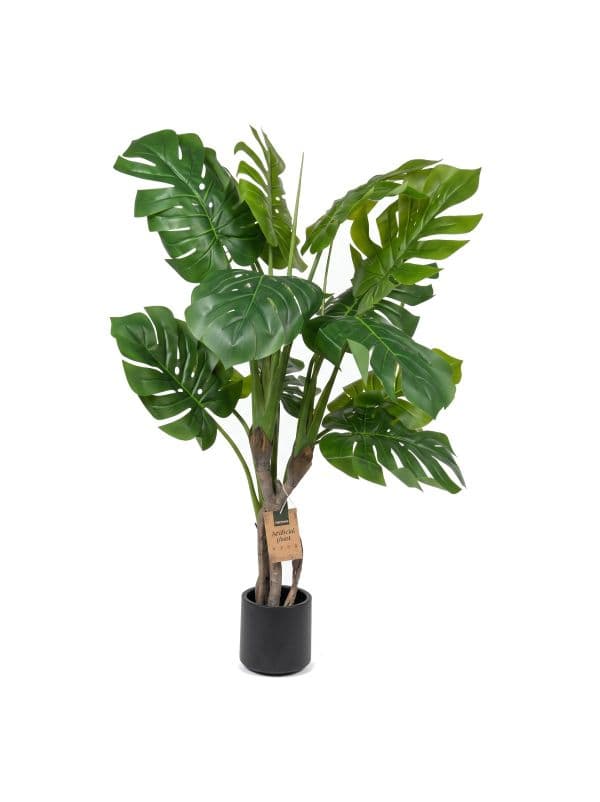 Monstera sur tronc 120 cm