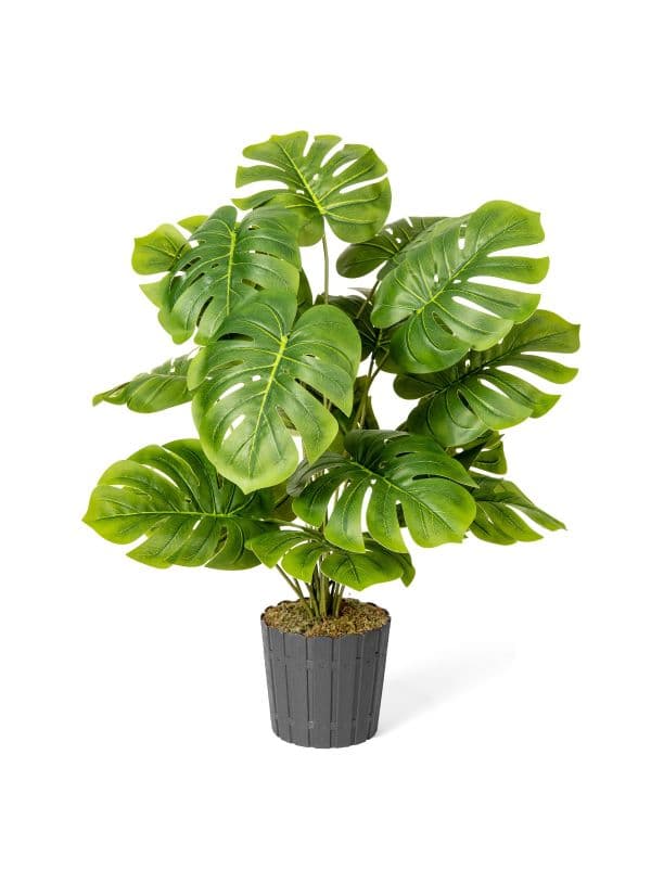 Monstera artificiel 70 cm FairyTrees, avec de grandes feuilles vertes aux d&eacute;coupes caract&eacute;ristiques sur un fond clair