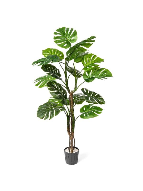 Monstera artificiel sur tronc de 160 cm FairyTrees sur fond blanc, avec de grandes feuilles vertes aux d&eacute;coupes caract&eacute;ristiques.