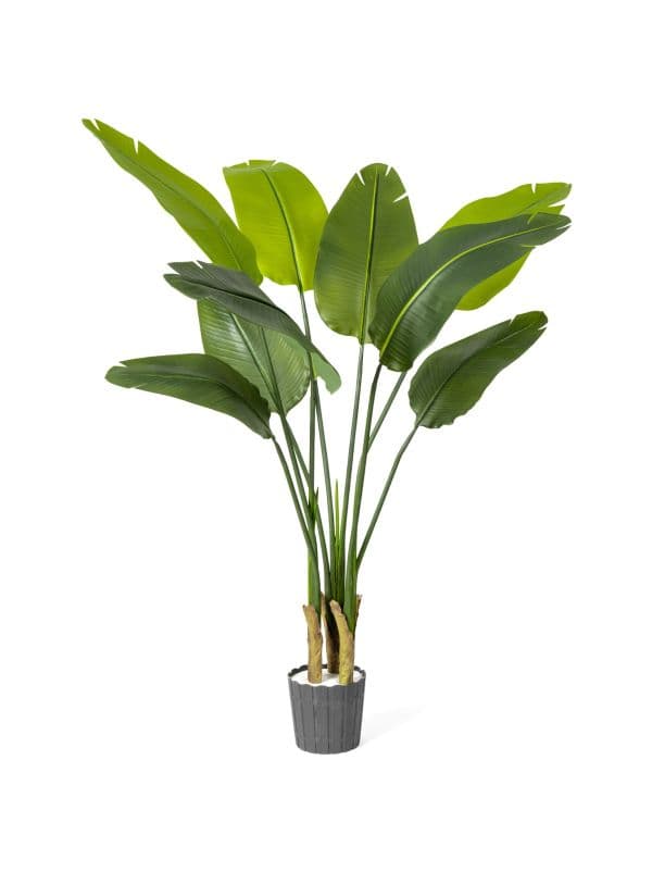 FairyTrees Strelitzia artificiell 130 cm - 9 feuilles &ndash; vert - en pot