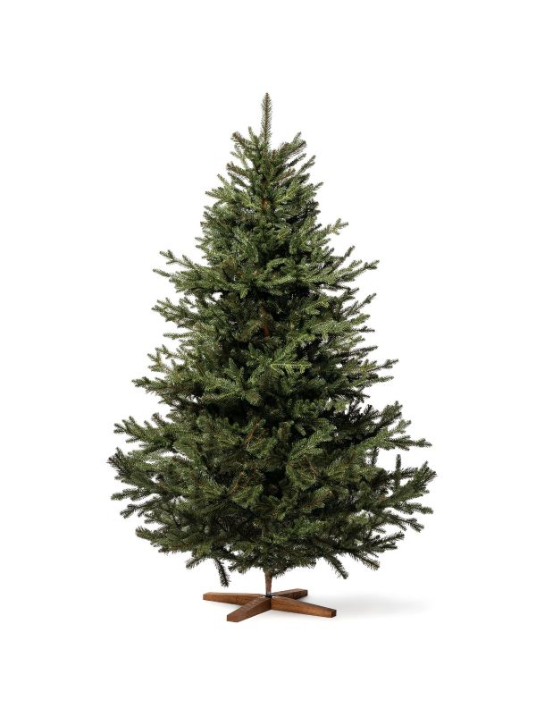 Sapin alpin FairyTrees FT33-180 – sapin artificiel avec une forme en cloche caractéristique pour une apparence harmonieuse.