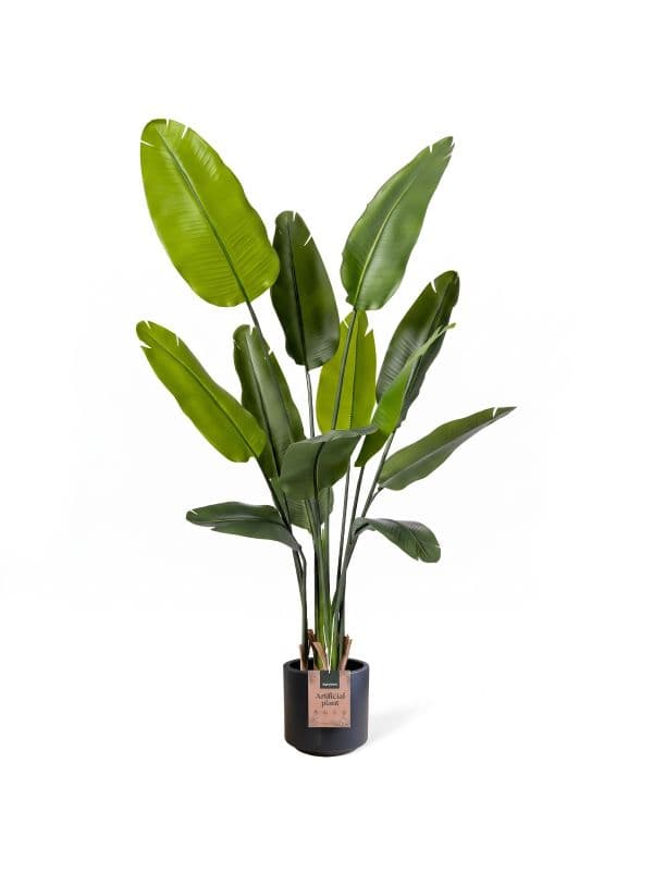 Strelitzia artificielle FairyTrees de 165 cm, &agrave; la silhouette &eacute;lanc&eacute;e et aux grandes feuilles allong&eacute;es sur un fond clair.