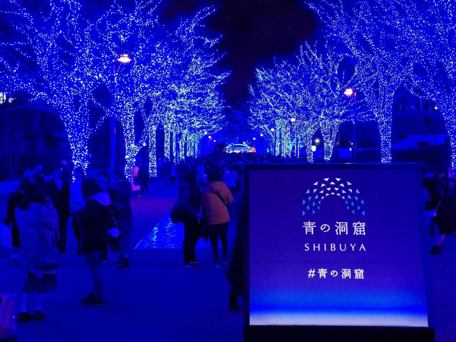 Une all&eacute;e d&rsquo;arbres &agrave; Tokyo est illumin&eacute;e par des lumi&egrave;res LED bleues intenses, cr&eacute;ant l&rsquo;installation lumineuse Blue Cave &agrave; Shibuya.