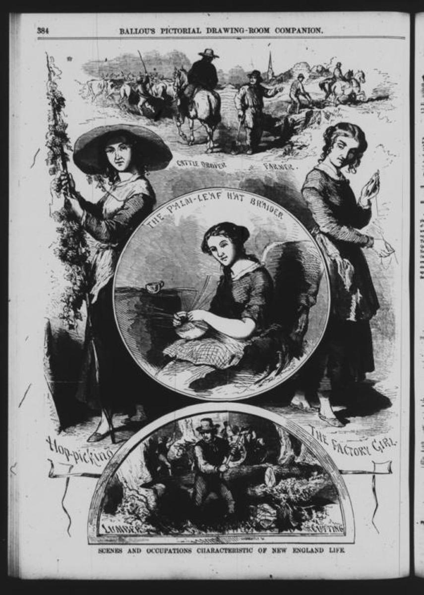 Illustration montrant des sc&egrave;nes et m&eacute;tiers caract&eacute;ristiques de la vie en Nouvelle-Angleterre, illustrant le travail et le quotidien des communaut&eacute;s puritaines.