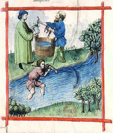 Gravure m&eacute;di&eacute;vale repr&eacute;sentant des hommes p&ecirc;chant des lamproies dans une rivi&egrave;re &agrave; l&rsquo;aide d&rsquo;outils simples, illustrant une ancienne pratique culinaire aristocratique.