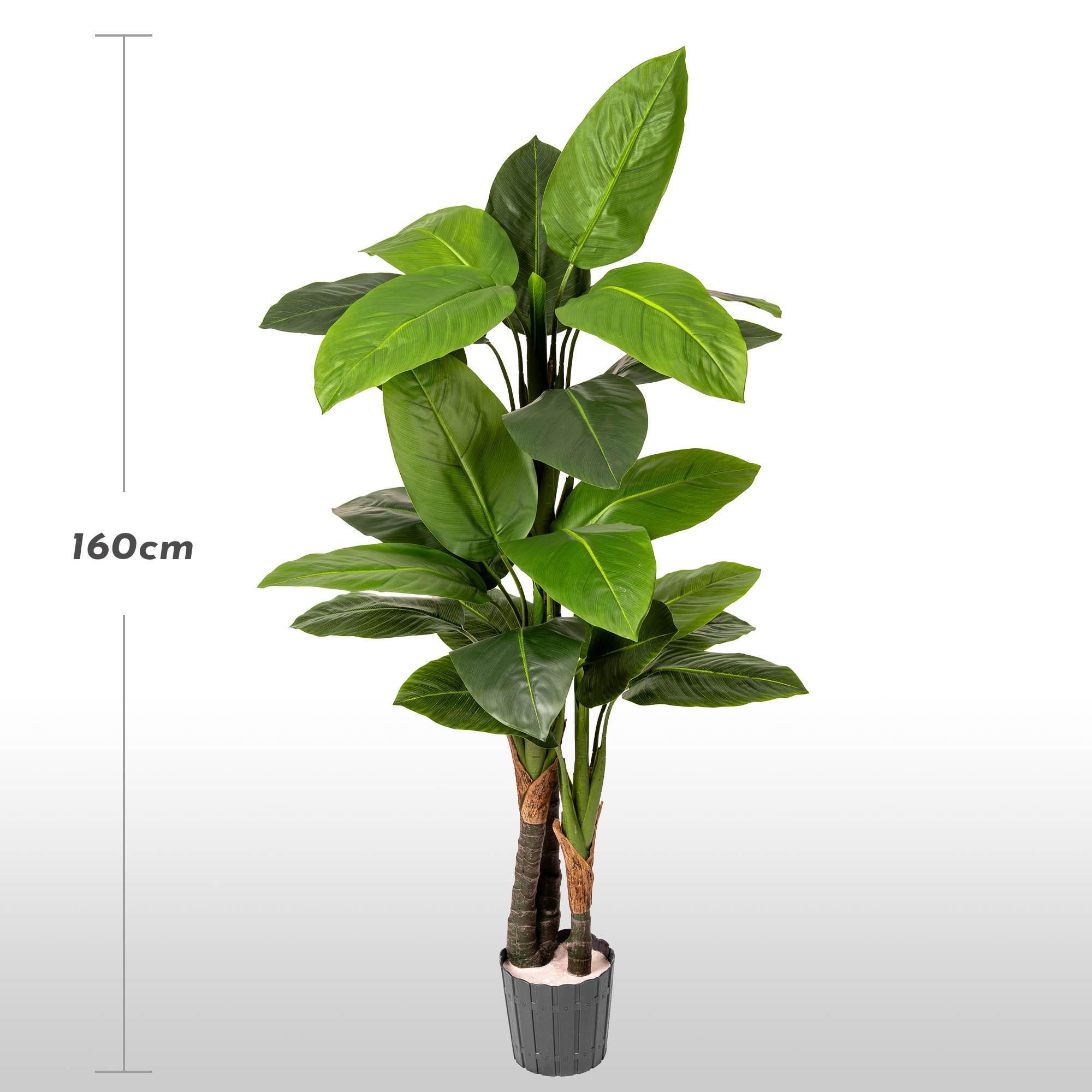 Monstera artificiel sur tronc de 160 cm FairyTrees sur fond clair, avec indication de la hauteur de la plante.
