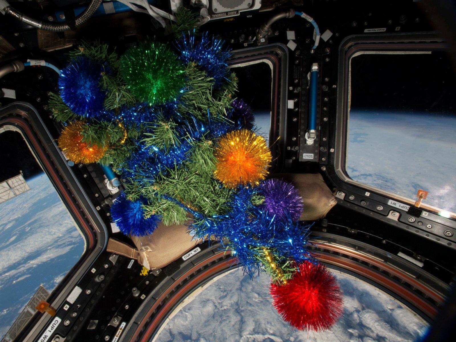 Sapin de Noël décoré dans le module Cupola de la Station spatiale internationale, le 25 décembre 2015.